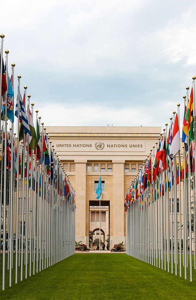 Asociación Dominicana de las Naciones Unidas (ANU-RD)